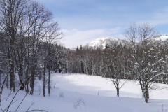 20200304_102310