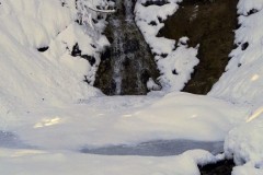 20200304_123217