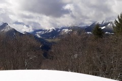 20200306_114118