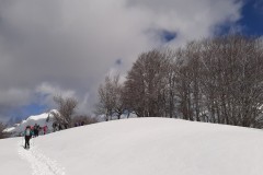 20200306_114326