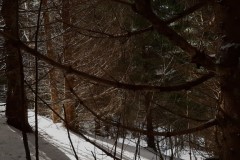 20200307_141107