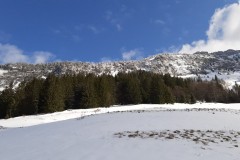 20200307_144359