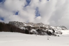 20200307_152812