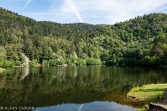 Vosges-2020-35