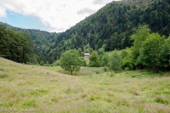 Vosges-2020-6