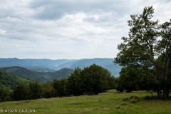 Vosges-2020-62