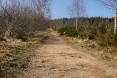 DSC01137