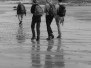 1863 - Les sentinelles du Pas-de-Calais : Cap Gris Nez et Cap Blanc Nez