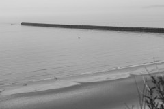 IMG_6449-N-B