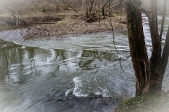 DSC_1322