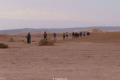 IMG_4094C
