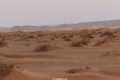 IMG_4119C