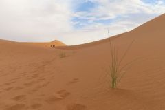 IMG_4221