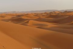 IMG_4255C