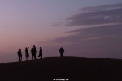 IMG_4403C