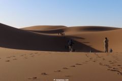 IMG_4488C