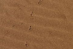 IMG_4689C