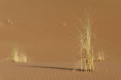 IMG_4697