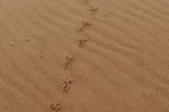 IMG_4937C