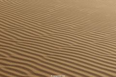 IMG_5288C