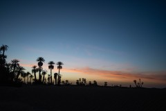 DSC_2794