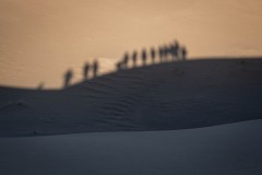 DSC_3006