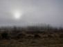 1992 - La magie des Hautes Fagnes au cœur de l’hiver – Des hauts plateaux vers les vallées fagnardes