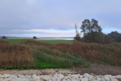 DSC01838