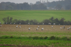 DSC01903