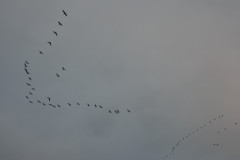 DSC01912