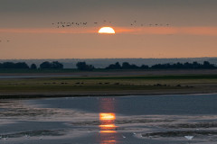 DSC01920