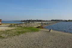 DSC01921