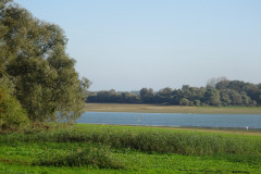 DSC01928