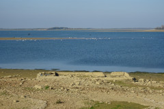 DSC01932