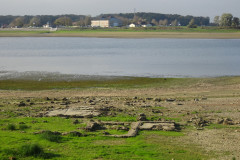 DSC01934
