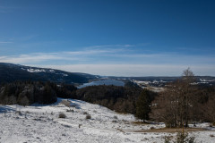 DSC_4974
