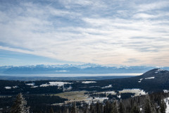 DSC_4988