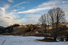 DSC_5050