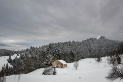 DSC_5066