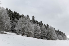 DSC_5073