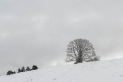 DSC_5076