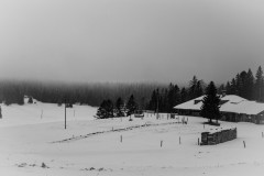 DSC_5112
