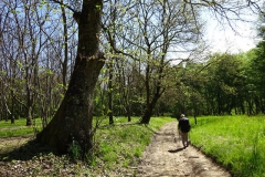 31.À l'ouest du moulin de Jassoux