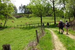 36.À l'ouest de la Chapelle-Saint-Géraud