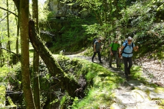 5.Juste après la chapelle