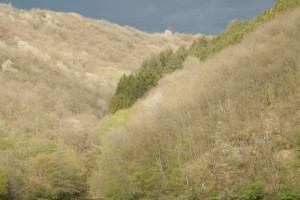 Les Ardennes luxembourgeoises : l’Oesling et la région de Vianden, en version camping confortable !