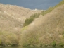 Les Ardennes luxembourgeoises : l’Oesling et la région de Vianden, en version camping confortable !