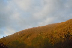 DSCN9662