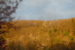 DSCN9663