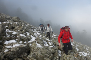 Au mont Pilat, sans doute en raquettes